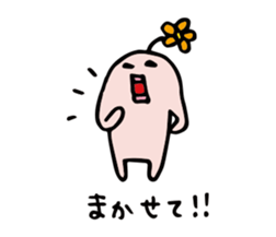 104042243