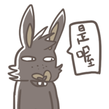 10409416