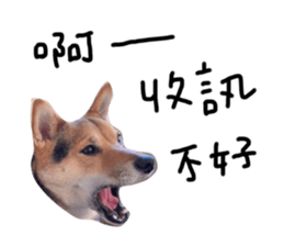 104150799