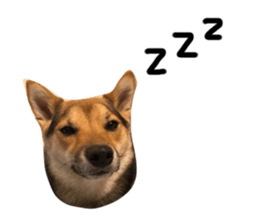 104150800