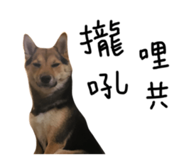 104150806