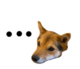104150807