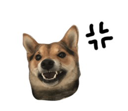 104150810