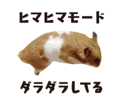 10420681
