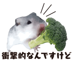 10420682