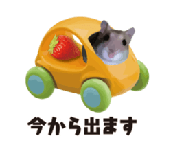 10420684