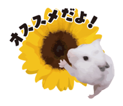 10420686