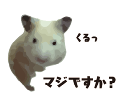 10420688