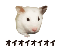 10420689