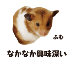 10420690