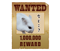 10420691