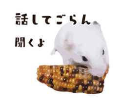 10420692