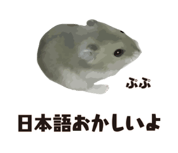 10420693