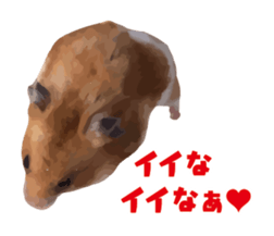 10420700