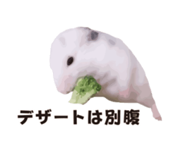 10420701