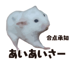 10420702