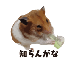10420705