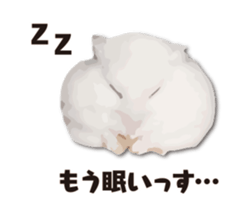 10420706