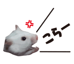 10420707