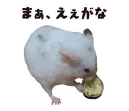 10420708
