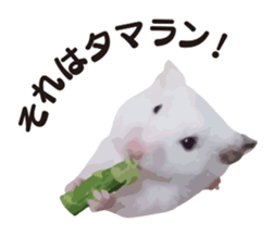 10420710