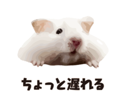 10420711