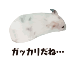 10420715
