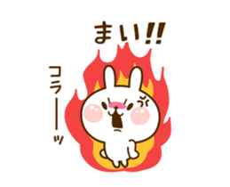 104243257