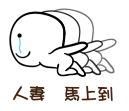 104281911