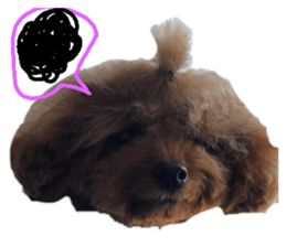 104308533