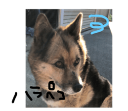 104351345