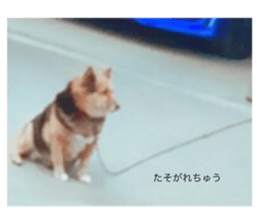 104351346