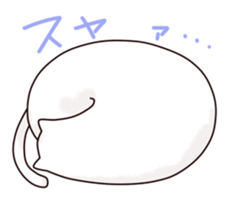 10437228