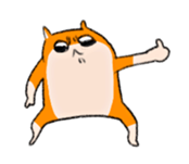 10443975