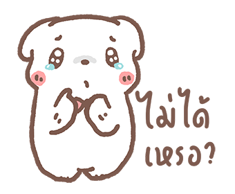 ลายที่ 11