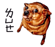 104481773