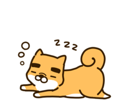 10459162