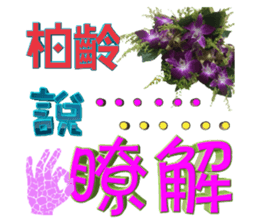 104824522