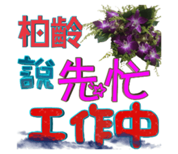 104824536