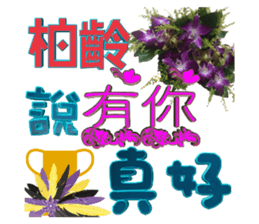 104824538