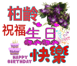 104824556