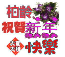 104824557