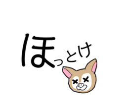 105104176
