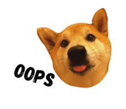 105355508