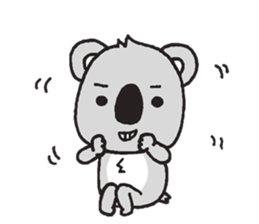 10558444