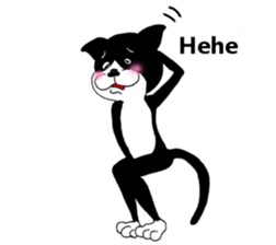 10559255