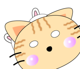 10563736