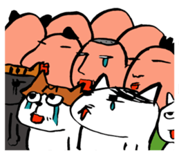 10568223
