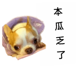 105682462