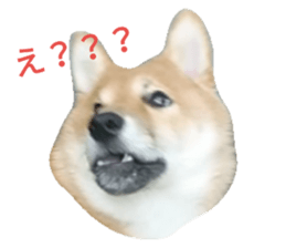 105975043